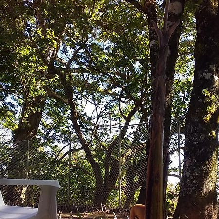 Nature House モンテベルデ エクステリア 写真