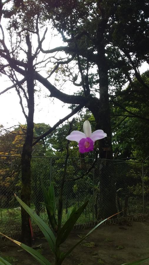 Nature House モンテベルデ エクステリア 写真